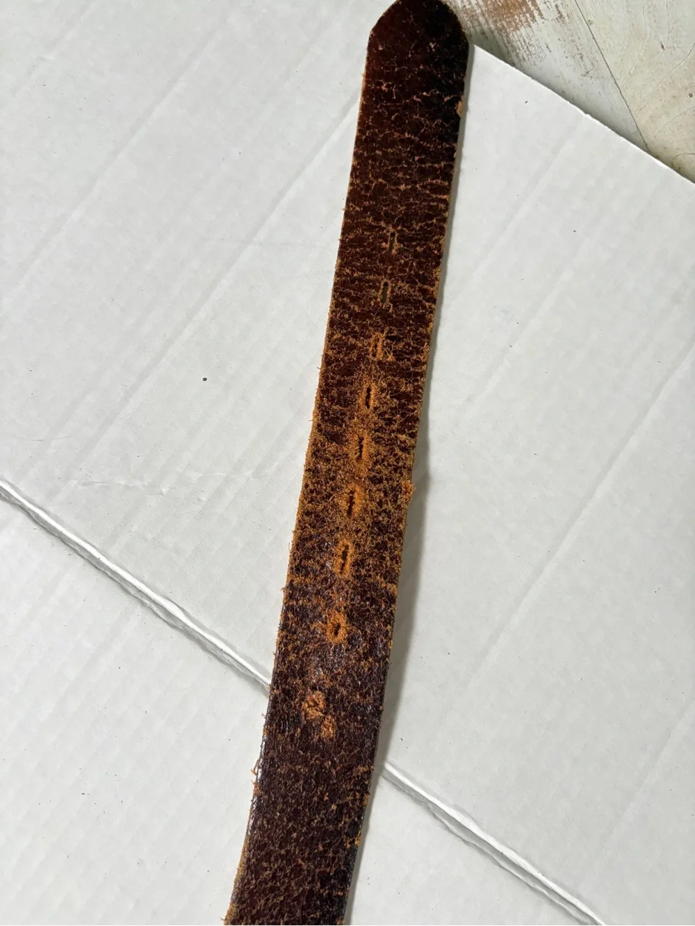 Unique brown black tooled leather belt Celtic knots skulls biker goth men’s 48